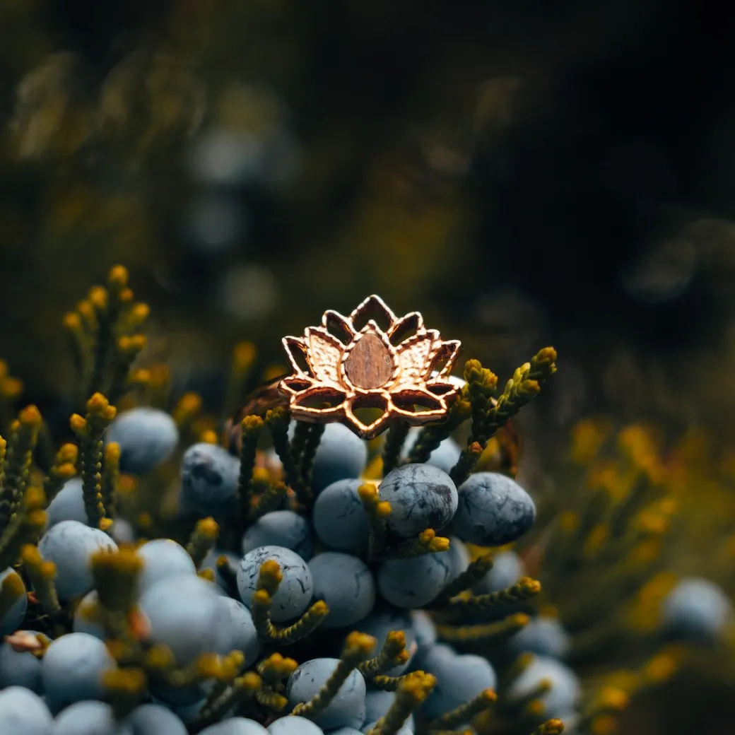 Holzkern Balance Ring|DAMES Ringen|Sieraden
