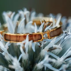 Holzkern CAMPANIA RING|DAMES Ringen|Sieraden