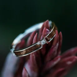 Holzkern CAMPANIA RING II|DAMES Ringen|Sieraden