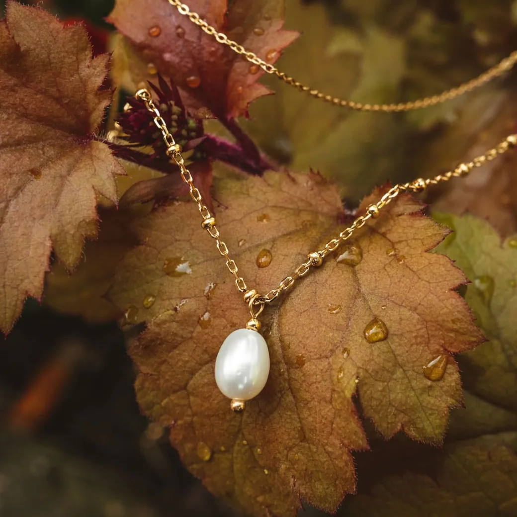 Holzkern Panoramic Ketting|DAMES Kettingen|Sieraden