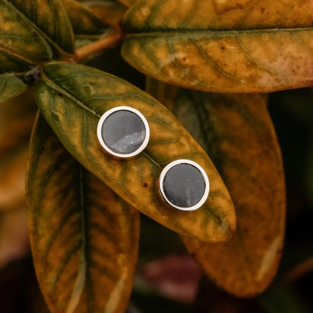 Holzkern Pigment Oorbellen|DAMES Oorbellen|Sieraden