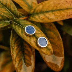 Holzkern Pigment Oorbellen|DAMES Oorbellen|Sieraden