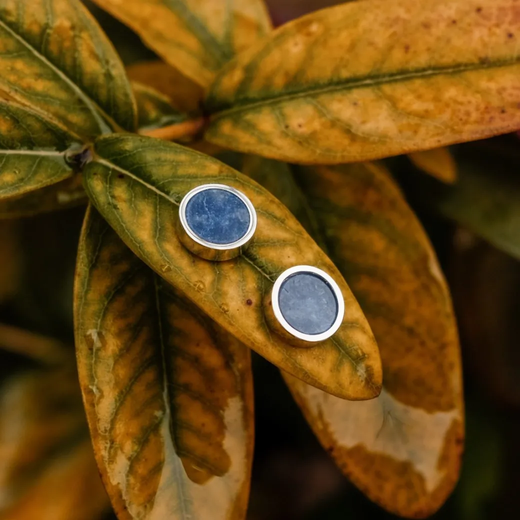 Holzkern Pigment Oorbellen|DAMES Oorbellen|Sieraden