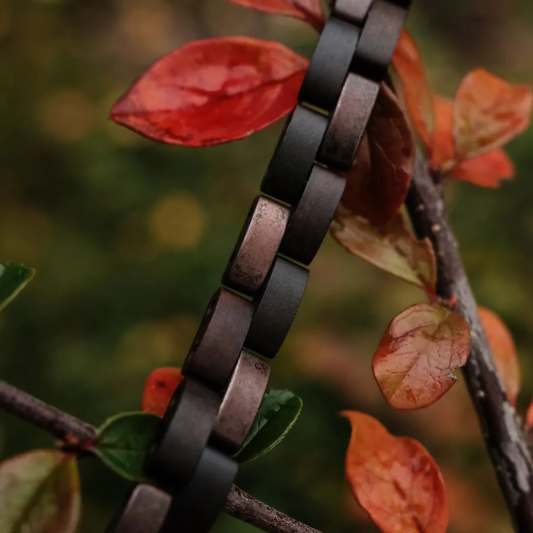 Holzkern RONDO|DAMES Bandlets
