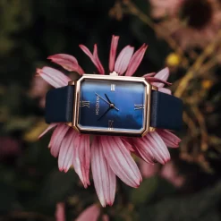 Holzkern Sapientia|DAMES Horloges