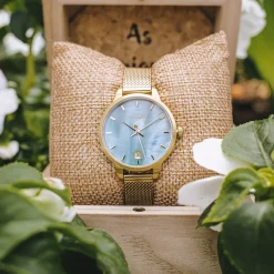 Holzkern Talamanca|DAMES Horloges